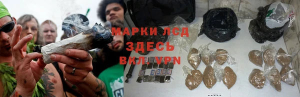 меф Тутаев