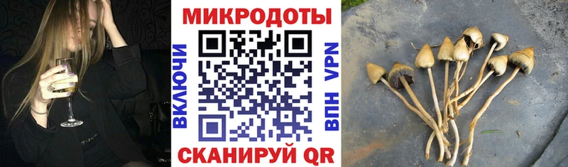 Псилоцибиновые грибы прущие грибы Знаменск