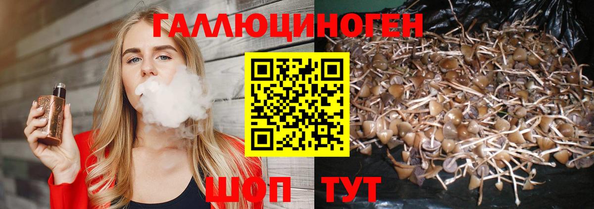 Знаменск  Псилоцибиновые грибы мухоморы  Вход с VPN  магазин продажи   Галлюциногенные грибы мицелий 